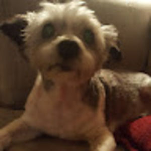 Meet your Posher, Noelle